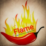 Logo Flame