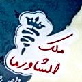 Logo Malek El Shawrma