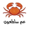 Logo Uncle Saltaoon