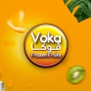 Logo Voka