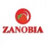 Logo Zanobia