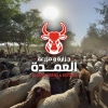 Logo Al Omda Butchery