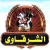 Al Sharqawy Al Bragil