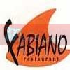 Logo Fabiano