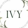 IVY