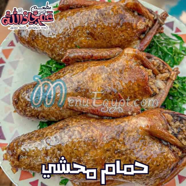 عم جاد الله مصر