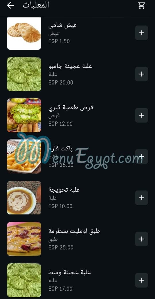 Elwahy egypt