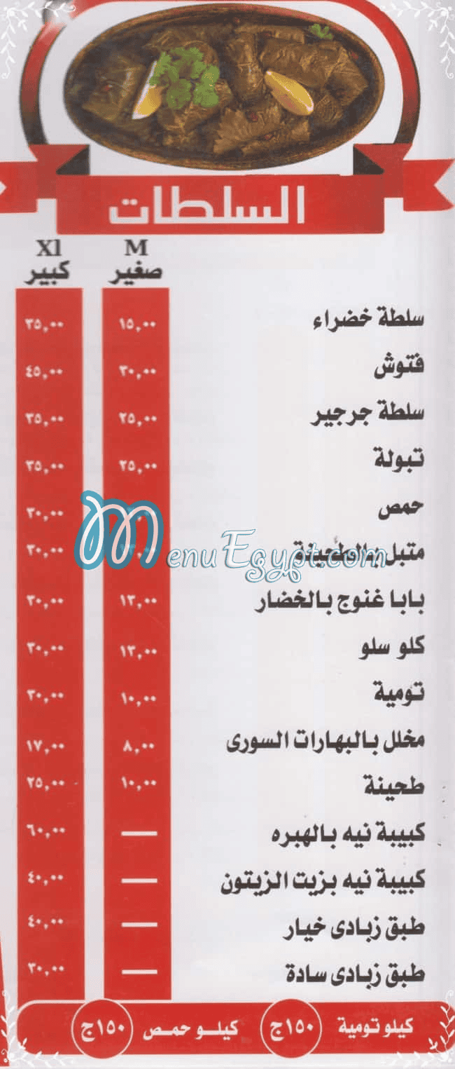 ابو حسين السورى مصر