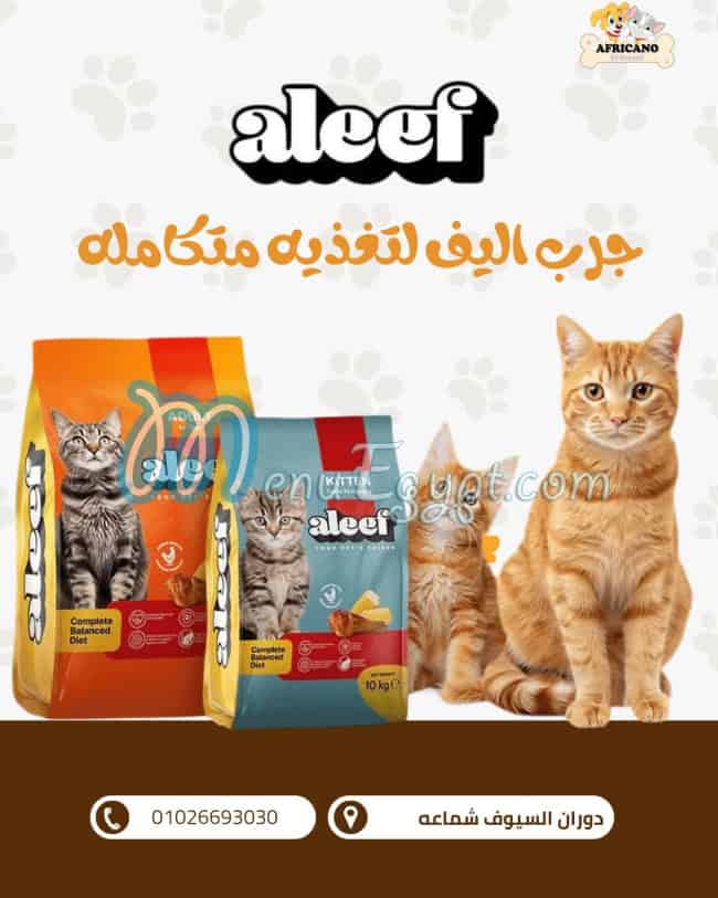 منيو افريكانو السيوف مصر 1