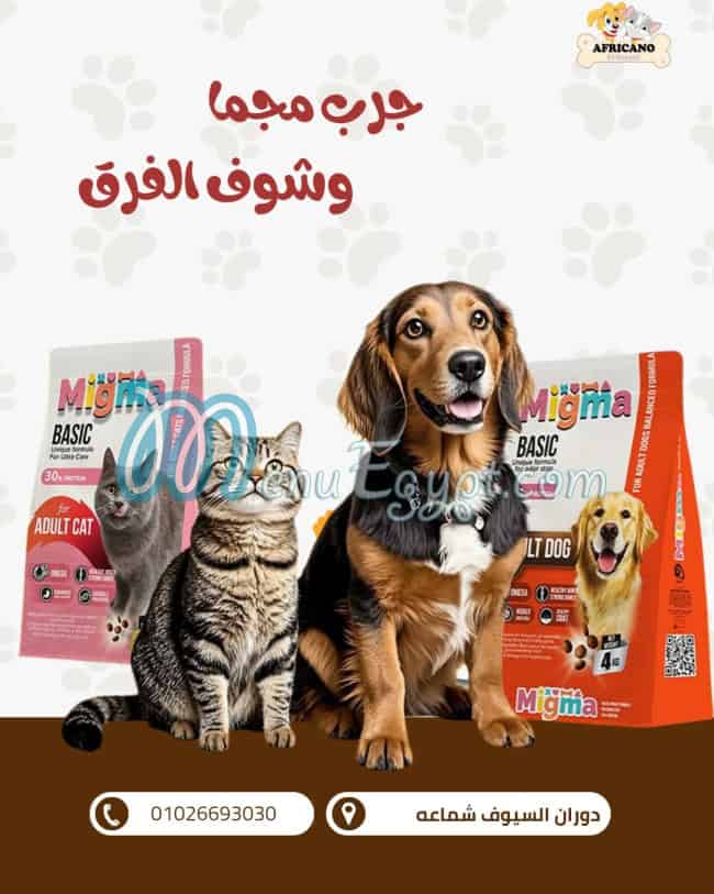 افريكانو السيوف مصر الخط الساخن