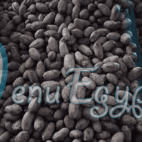 Al Kher We Al Baraka egypt