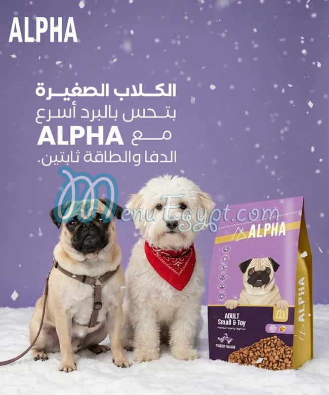 Alpha menu Egypt