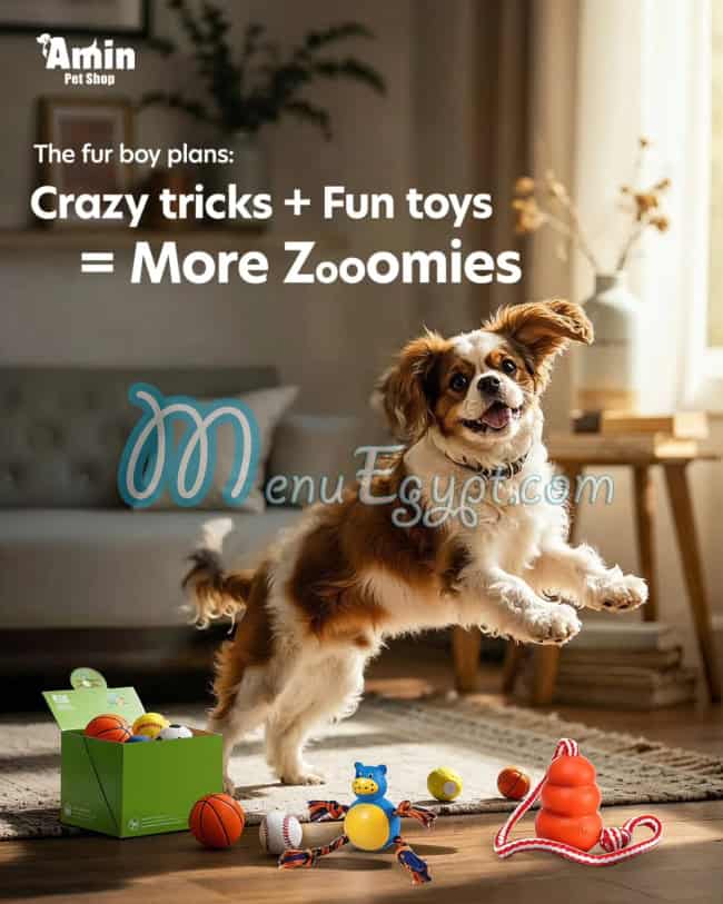 Amin Pet Shop menu Egypt 3