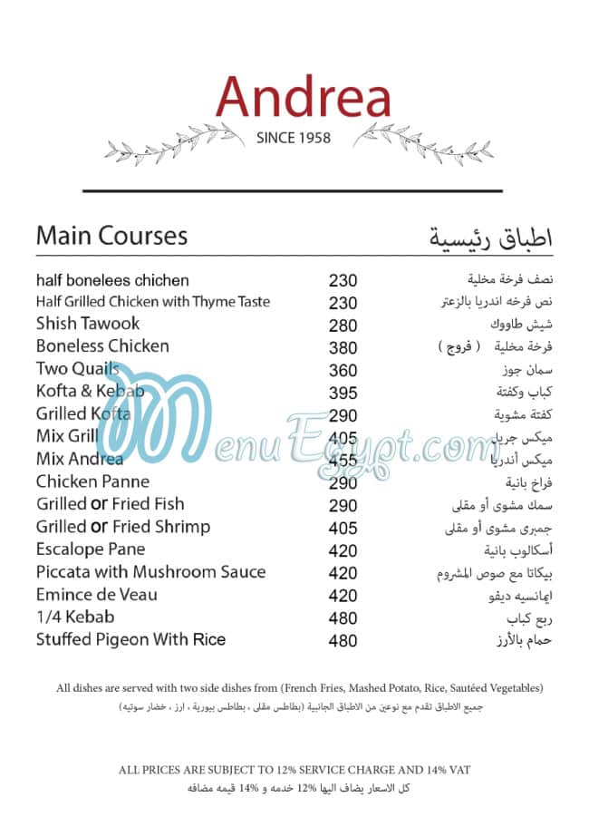 اندريا مصر الخط الساخن