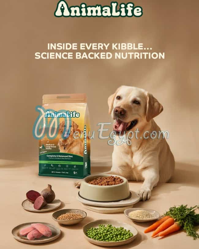 AnimaLife menu Egypt 1