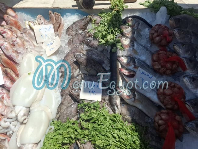 أسماك الحرية مصر