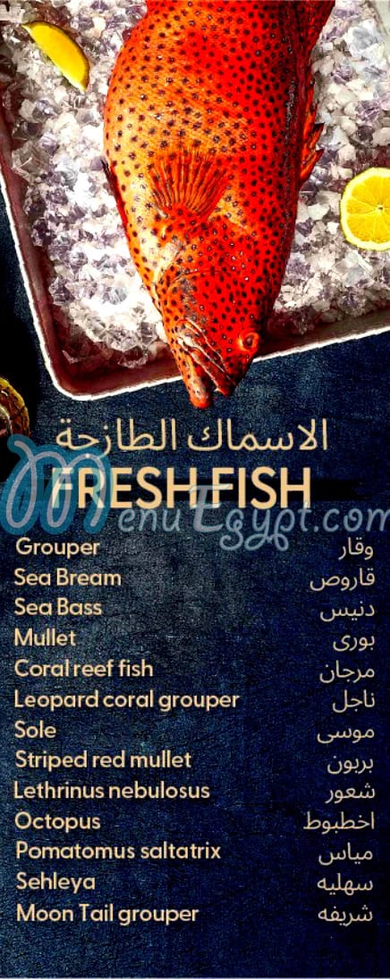 رقم اسماك المرشدى - ملك البحر مصر
