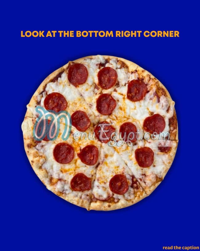 انتى انز مصر الخط الساخن