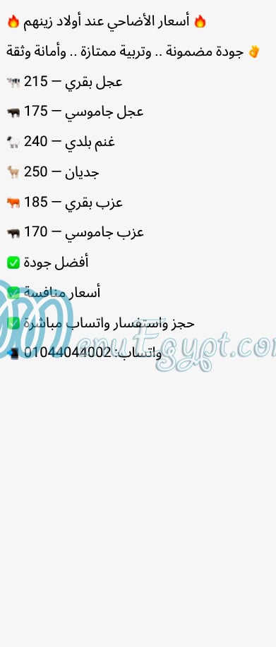 Awlad Al Hag Zenhom egypt