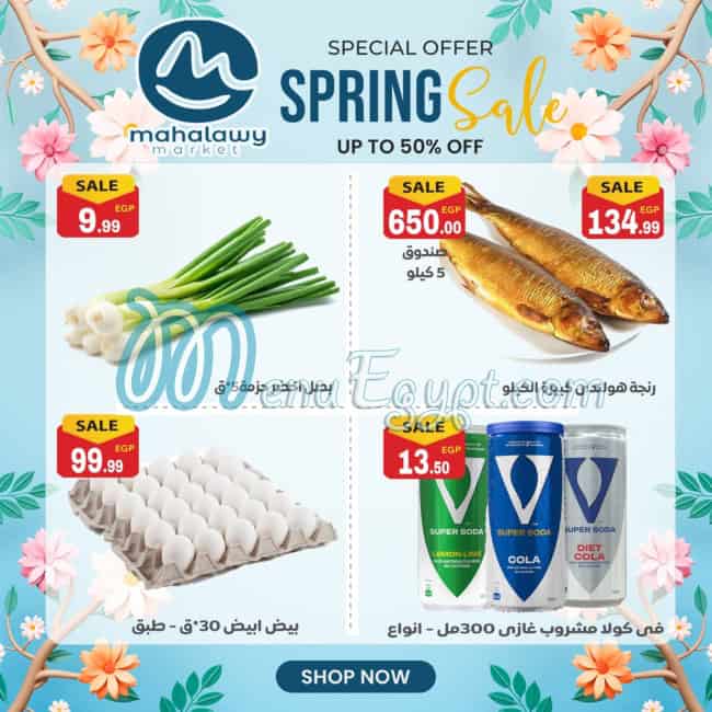 Awlad Al Mahlawy menu