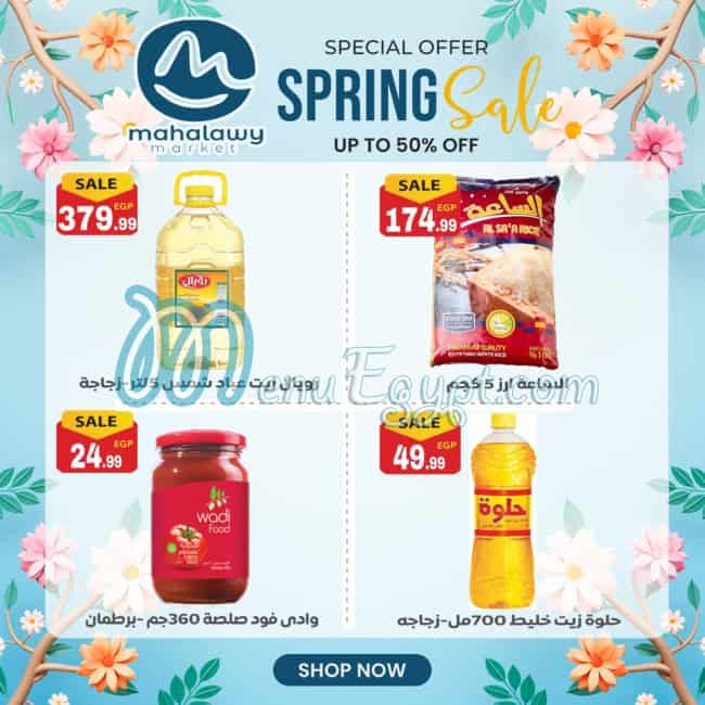 Awlad Al Mahlawy menu Egypt 4