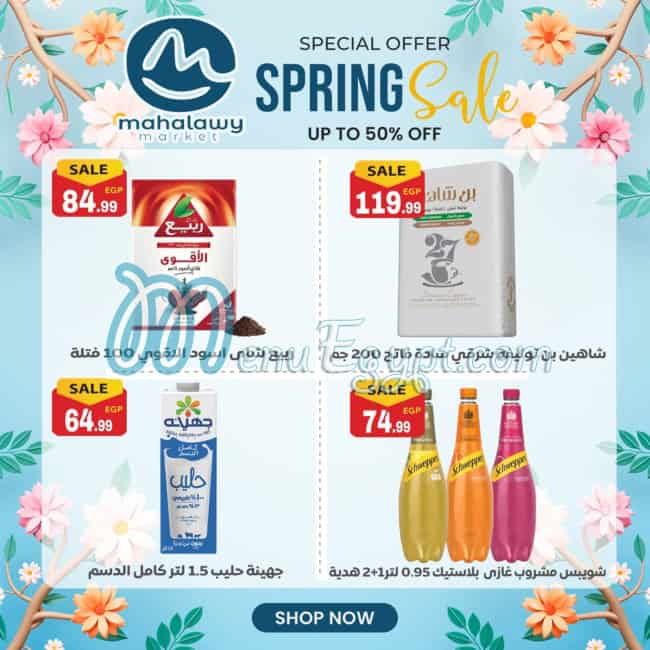 Awlad Al Mahlawy menu Egypt 5