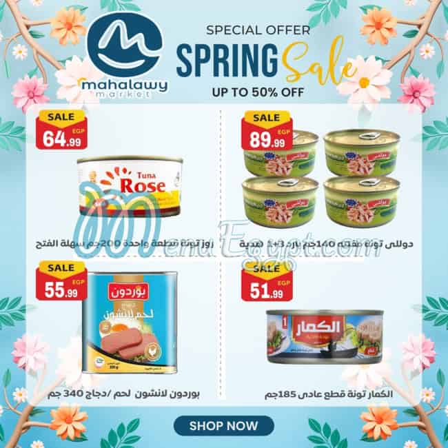 Awlad Al Mahlawy menu Egypt 6