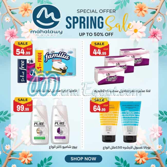 Awlad Al Mahlawy menu Egypt 8