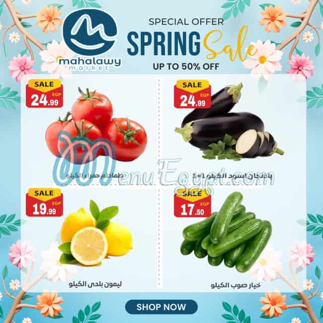 Awlad Al Mahlawy menu Egypt 2