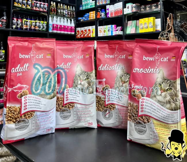 أيمن بيتس استور مصر