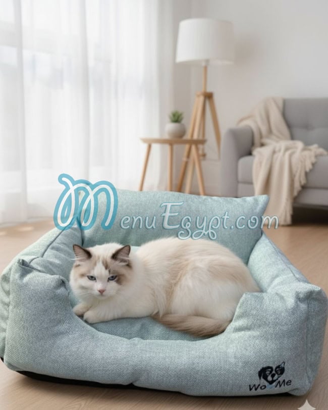 أيمن بيتس استور مصر