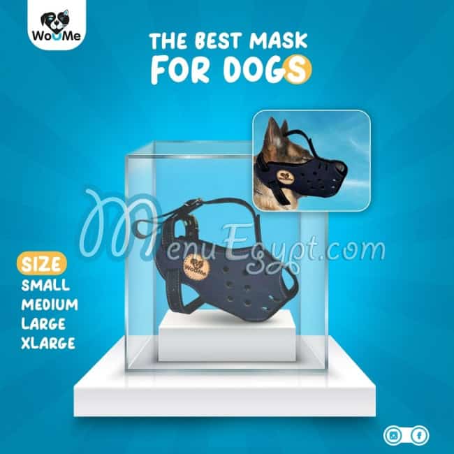 أسعار أيمن بيتس استور مصر