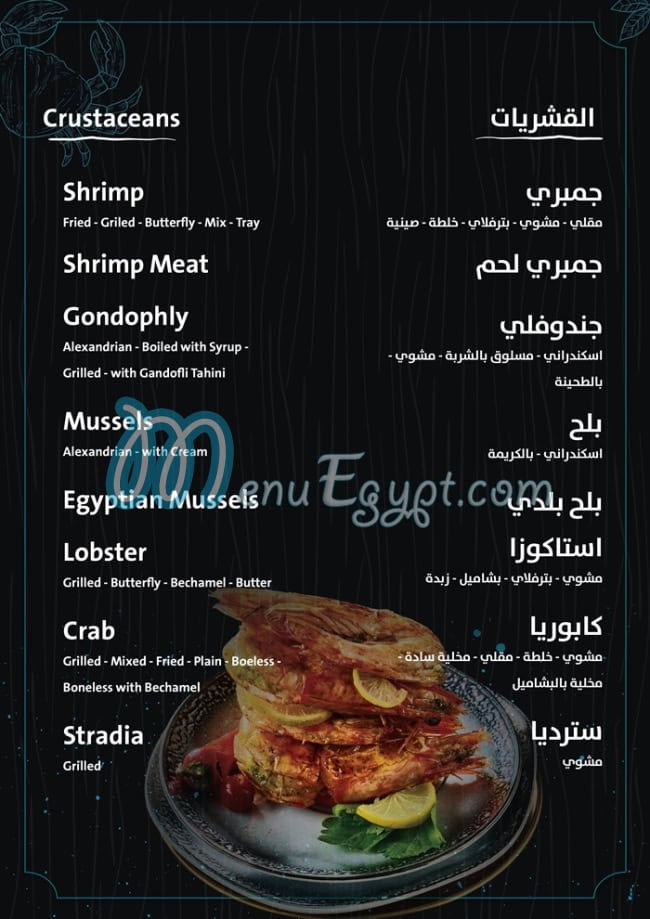 بحر للمأكولات البحرية مصر الخط الساخن