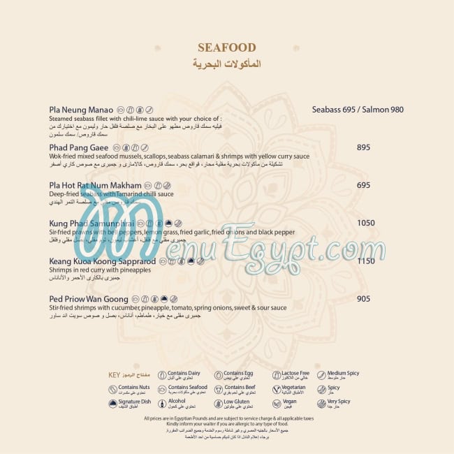 بيرد كيج مصر منيو بالعربى