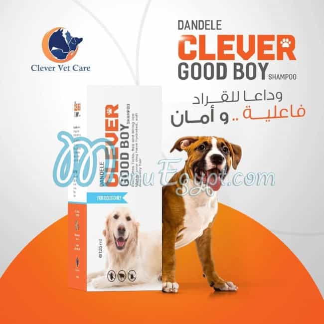 مطعم بلو بيتس كلوب مصر