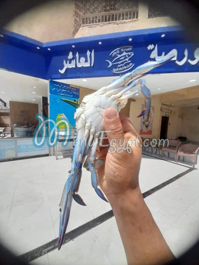 Borsat Al Asher egypt