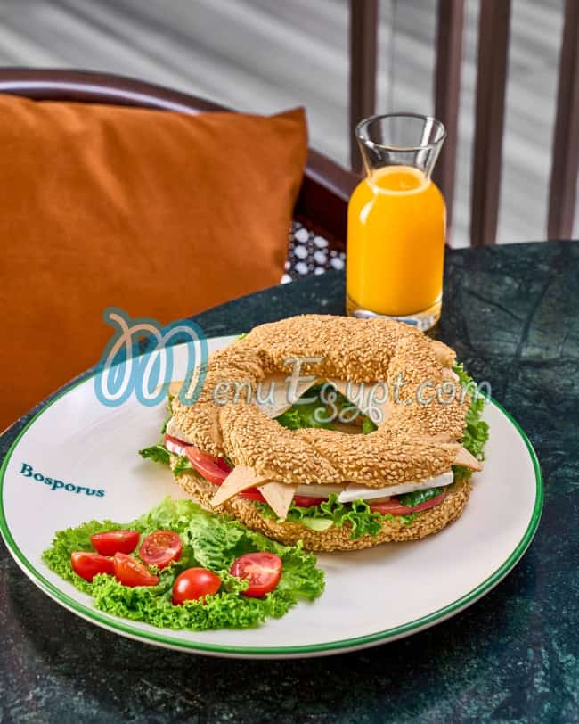 أسعار بوسبورس مصر