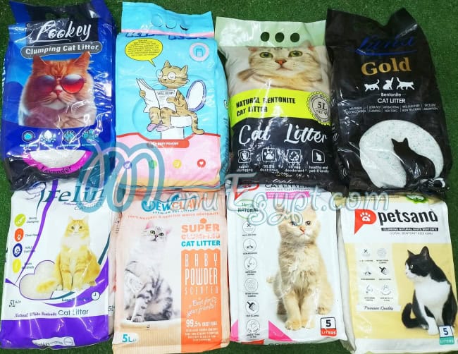 Buggy Pet Shop menu prices