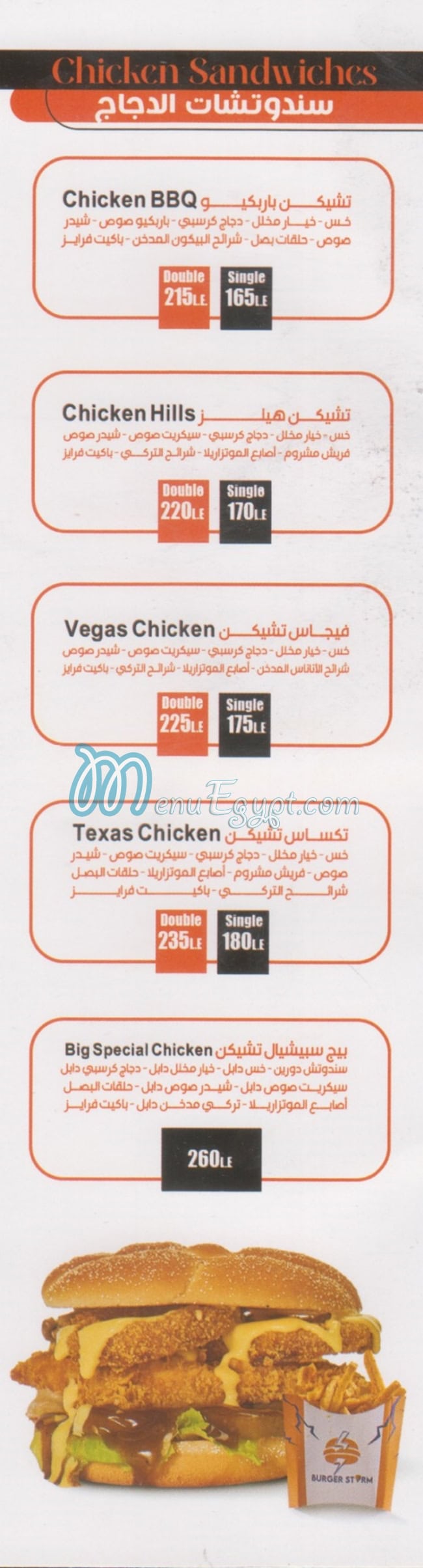 Burger Storm delivery