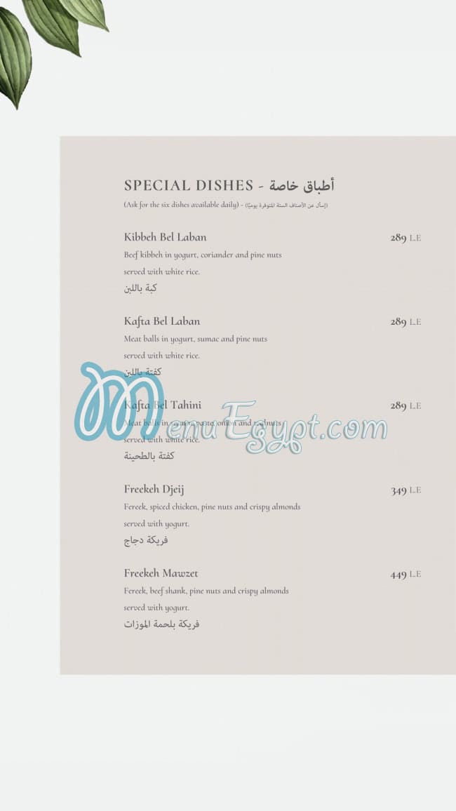 Caracas menu Egypt 5