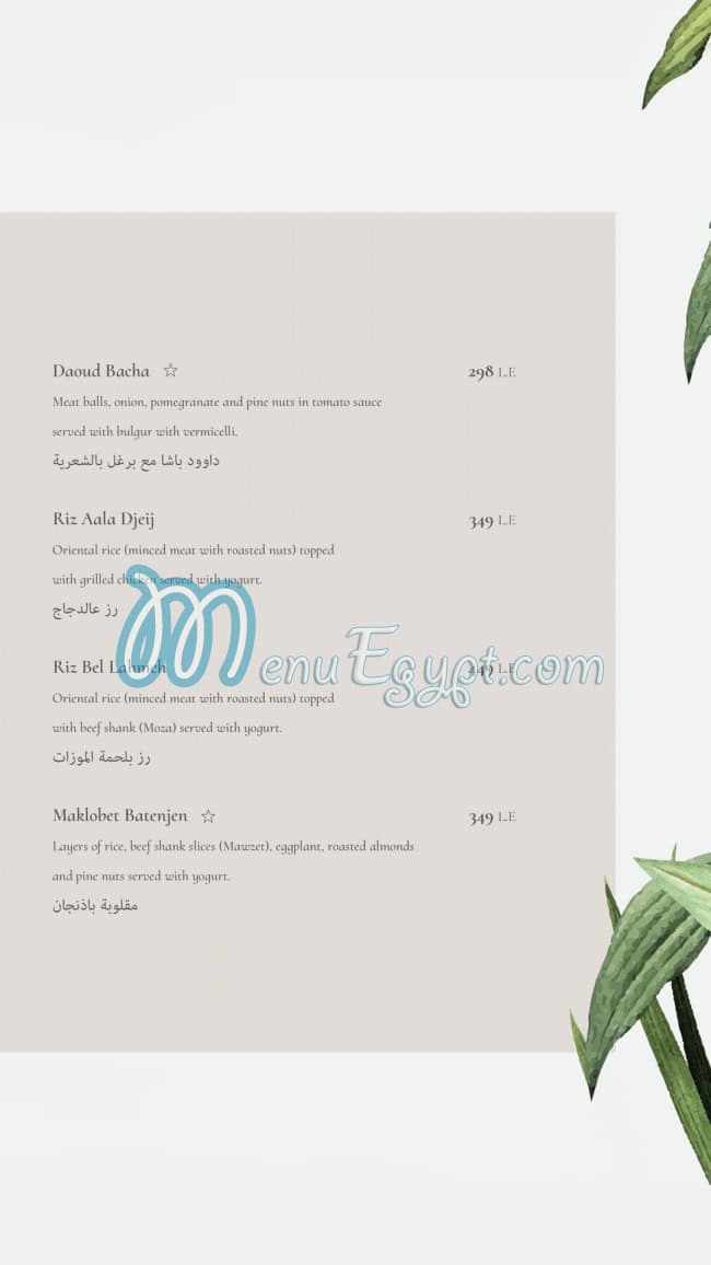 Caracas menu Egypt 6