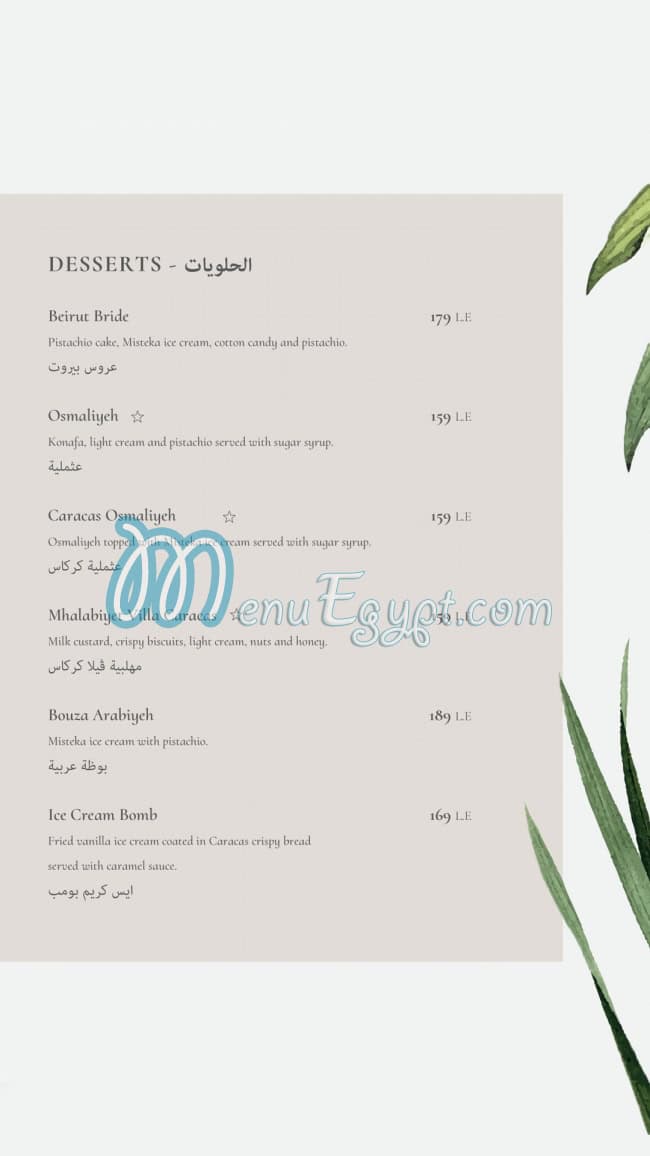 Caracas menu Egypt 8