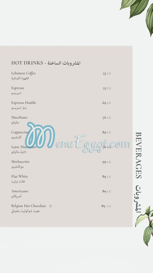 Caracas menu Egypt 9