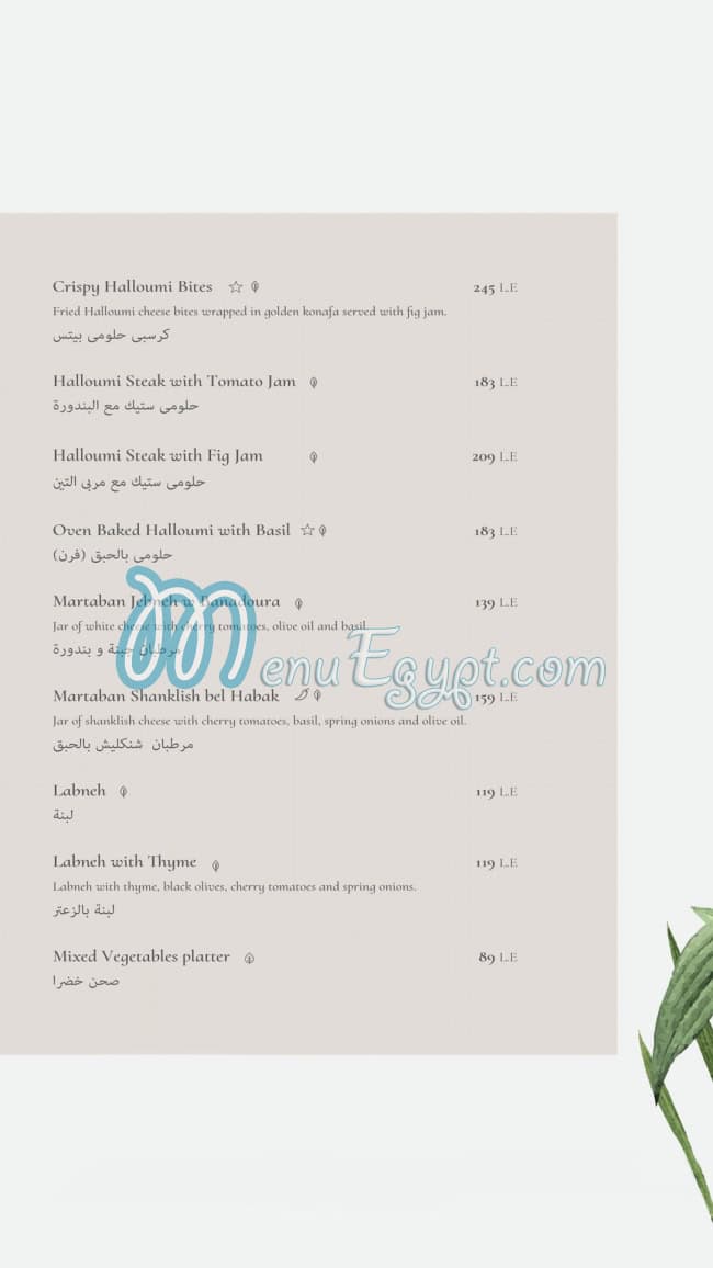 Caracas menu Egypt