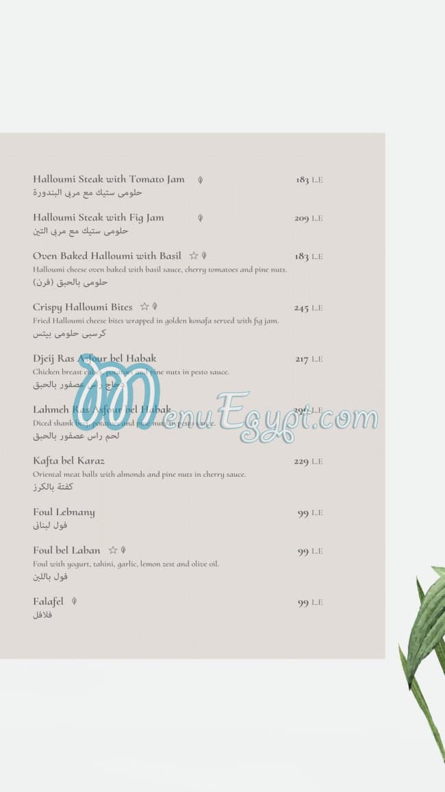 Caracas menu Egypt 1