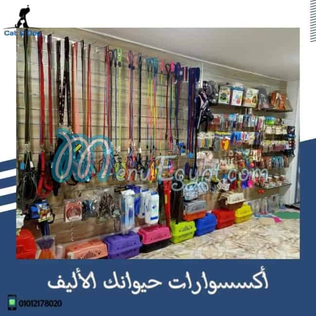 Cat and Dog delivery