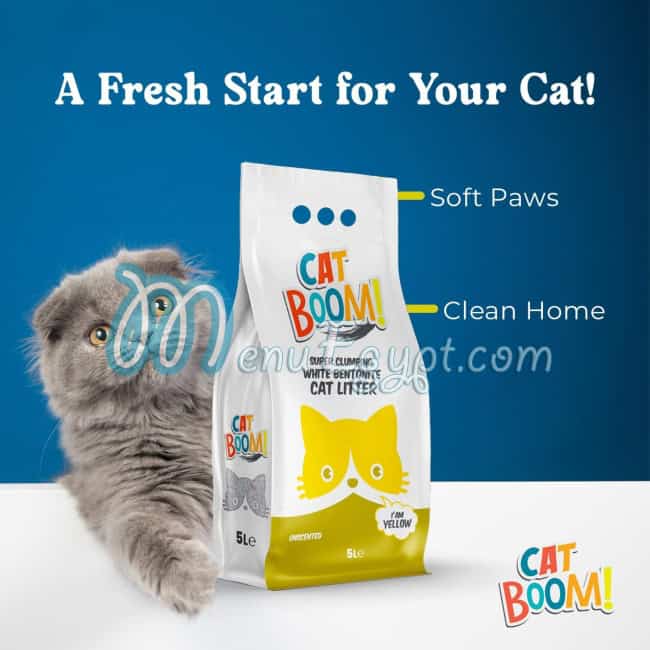 Cat Boom menu Egypt