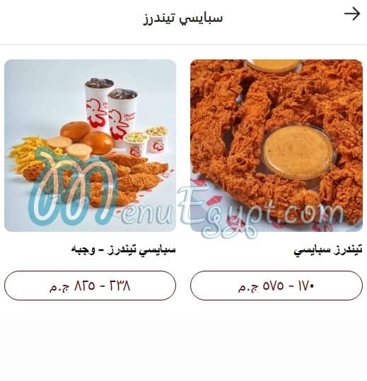 تيشكن وركس مصر