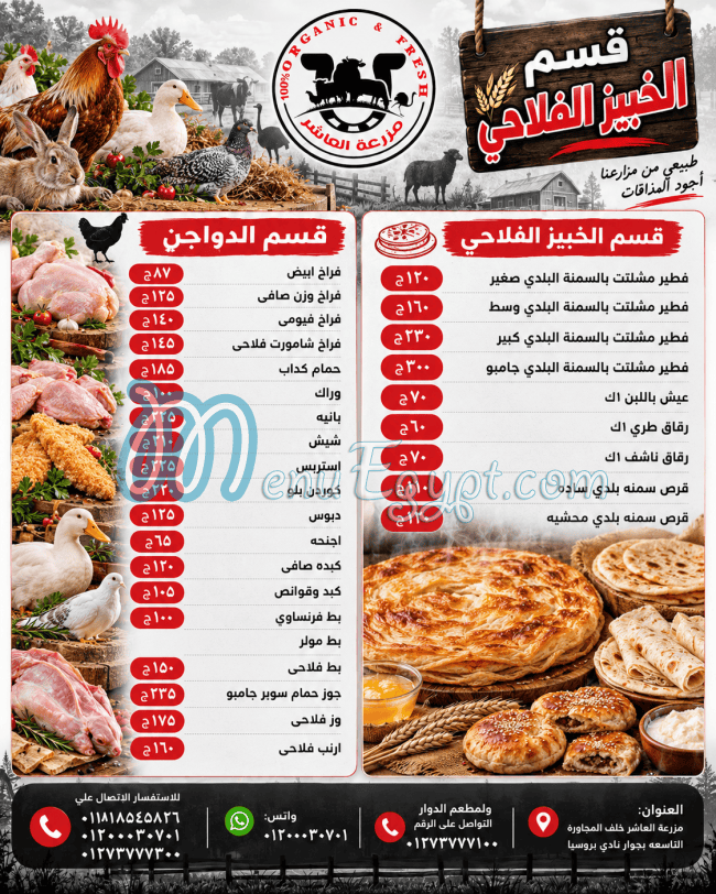 منيو دوار مزرعة العاشر مصر
