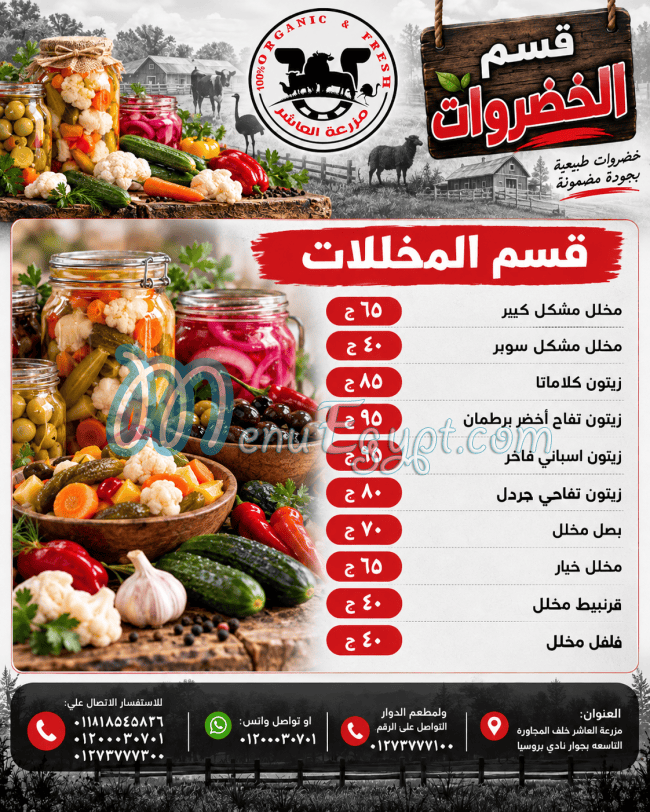 مطعم دوار مزرعة العاشر مصر